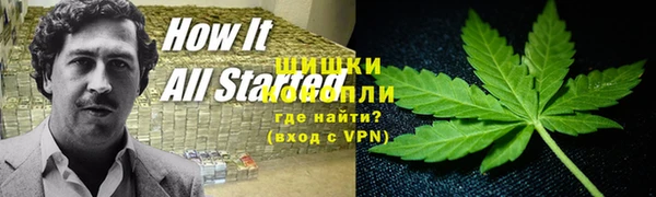 метадон Нея