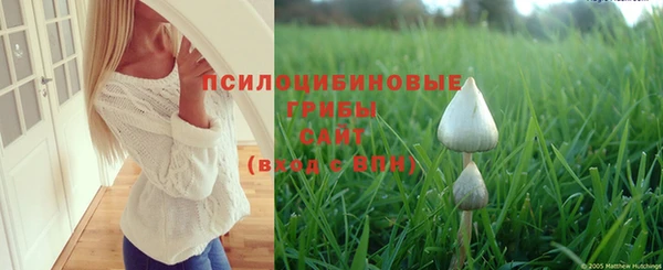 Альфа ПВП Нефтегорск