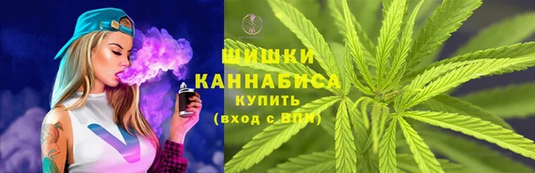 гашик Надым