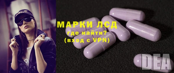 гашик Надым
