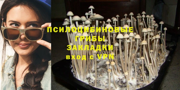 хмурый Наволоки