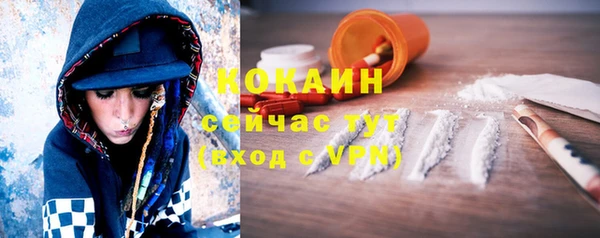 гашик Надым